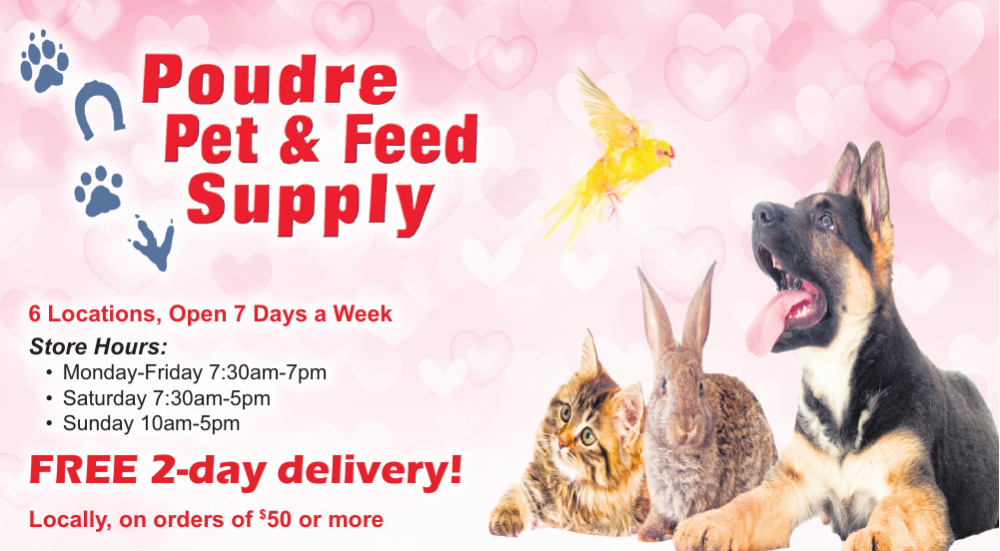 poudre feed supply